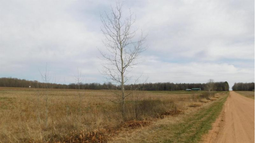 000 Mink Road Highland Ave Merrill, WI 54452 by Century 21 Best Way $89,900