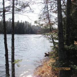 25.8 Acres Adams Lane, Tomahawk, WI 54487