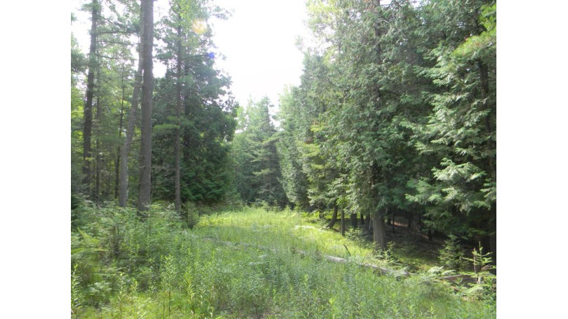 TBD Hwy 42 Fish Creek, WI 54212 by Kellstrom-Ray Agency - 9208542353 $200,000