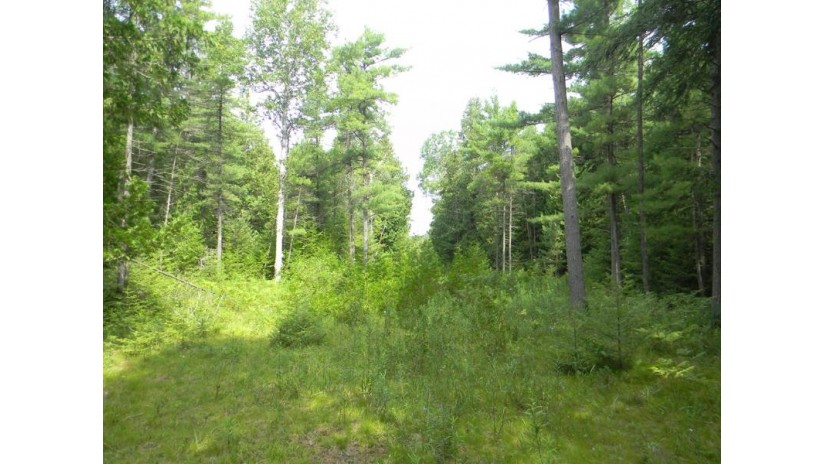 TBD Hwy 42 Fish Creek, WI 54212 by Kellstrom-Ray Agency - 9208542353 $200,000