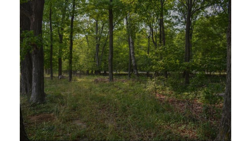 LOT #1* Horseshoe Bay Rd Egg Harbor, WI 54209 by True North Real Estate Llc - 9208682828 $168,500