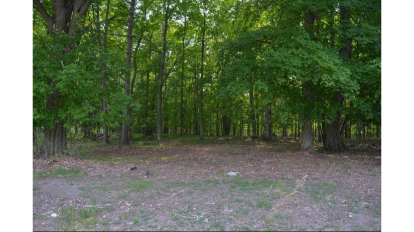 LOT #1* Horseshoe Bay Rd Egg Harbor, WI 54209 by True North Real Estate Llc - 9208682828 $168,500