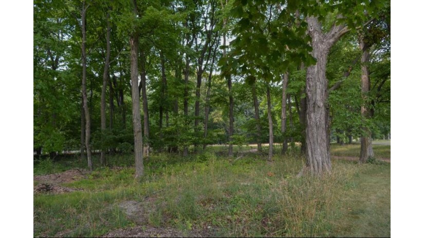 LOT #3* Horseshoe Bay Rd Egg Harbor, WI 54209 by True North Real Estate Llc - 9208682828 $168,500