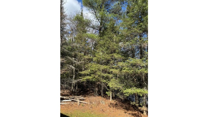 6100 Cemetery Rd Land O Lakes, WI 54540 by Era Starr Realty - 9207434321 $349,900