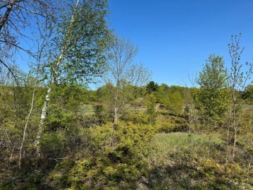 LOT 2 Division Rd, Egg Harbor, WI 54209