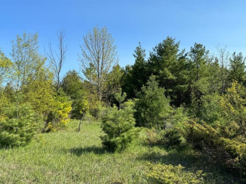 LOT 4 Division Rd, Egg Harbor, WI 54209