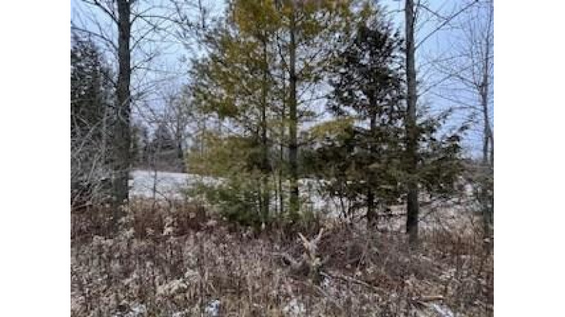 TBD Lakeview Dr Kewaunee, WI 54216 by Shorewest Realtors $280,000