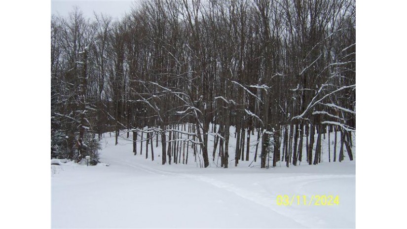 On Boat Landing Rd Lot Paulding, MI 49912 by Century 21 Burkett - Lol $89,900