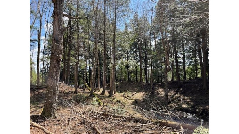 On Channel Rd Watersmeet, MI 49969 by Eliason Realty - Land O Lakes $149,900