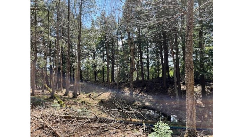 On Channel Rd Watersmeet, MI 49969 by Eliason Realty - Land O Lakes $149,900