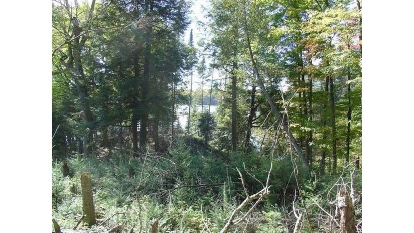 Lot #7 Channel Rd Watersmeet, MI 49969 by First Weber - Bessemer $94,000