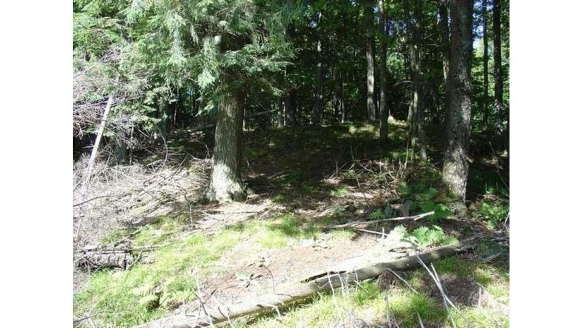 Lot #7 Channel Rd Watersmeet, MI 49969 by First Weber - Bessemer $94,000