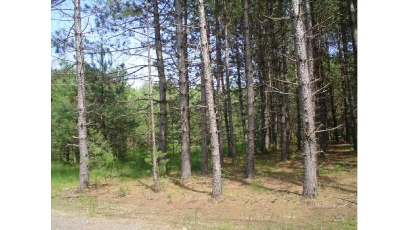 On Pine Breeze Way Lot #3 Lincoln, WI 54521 by Re/Max Property Pros $28,100