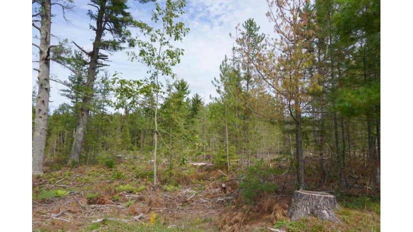 On Zachs Ln Lot 1 Conover, WI 54519 by Century 21 Burkett & Assoc. $20,000
