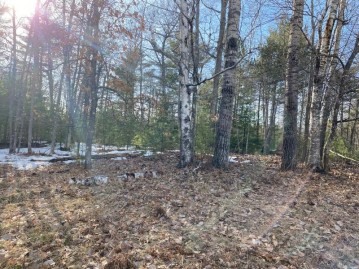Near Parkway Dr 1.02 Acres, St. Germain, WI 54558