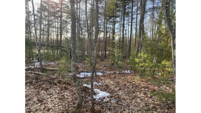 Near Parkway Dr 1.02 Acres St. Germain, WI 54558 by Century 21 Burkett & Assoc. $39,900