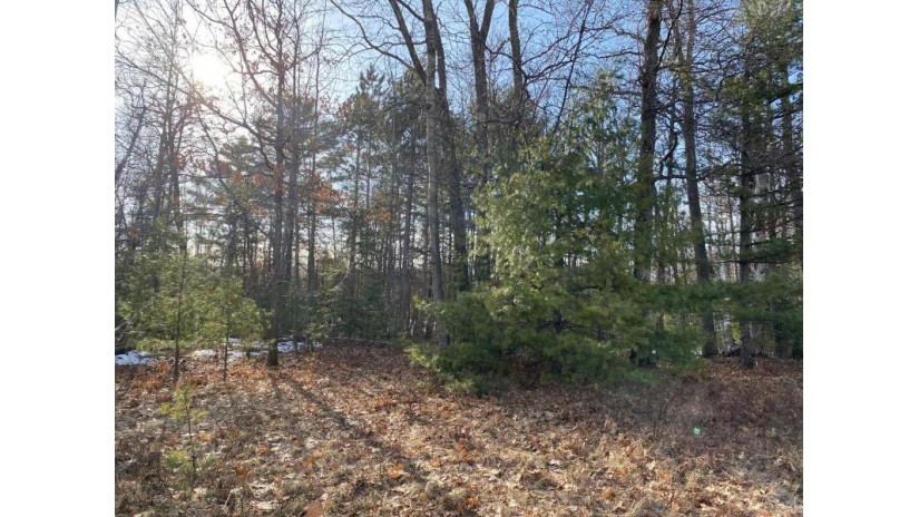 Near Parkway Dr 1.02 Acres St. Germain, WI 54558 by Century 21 Burkett & Assoc. $29,700