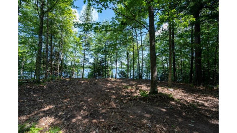 Lot 122 Clearwater Lake Tr Three Lakes, WI 54521 by Gold Bar Realty $300,000