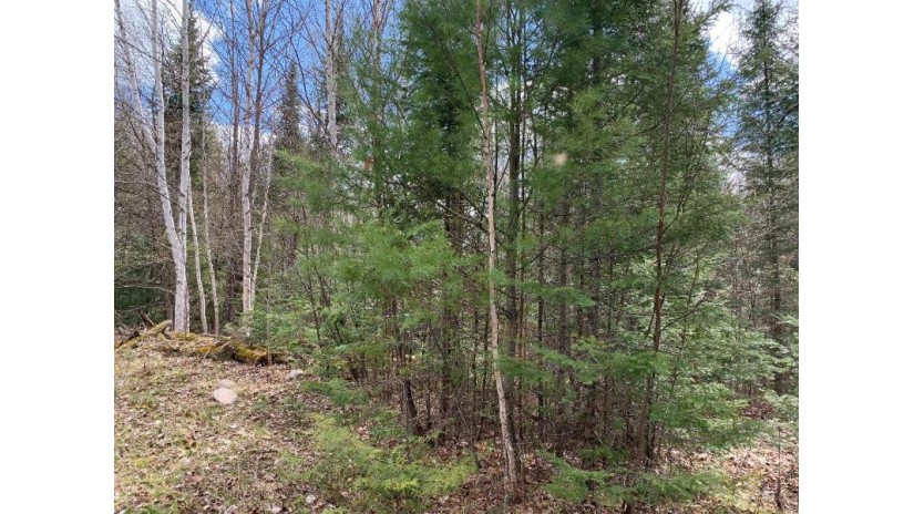 Lot 1 Golf Course Dr Mercer, WI 54547 by Century 21 Pierce Realty - Mercer $60,000