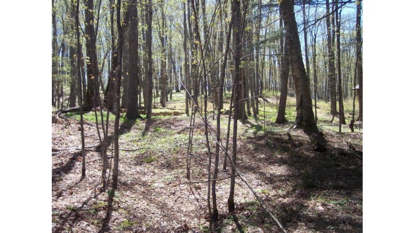 Lot #25 Big Sand Lake Club Rd PHELPS, WI 54554 by Re/Max Property Pros $115,000