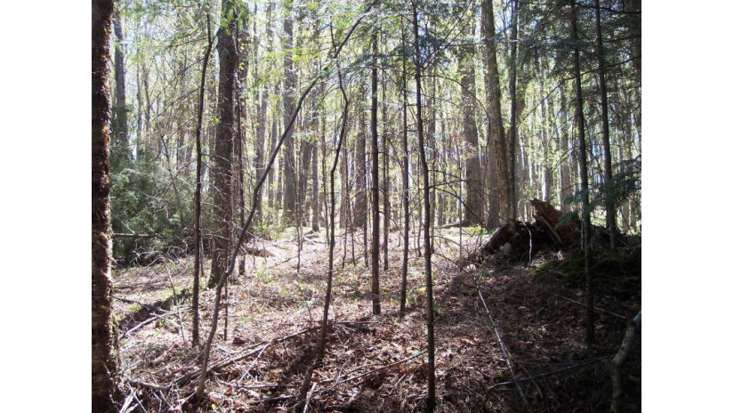 Lot #25 Big Sand Lake Club Rd PHELPS, WI 54554 by Re/Max Property Pros $115,000