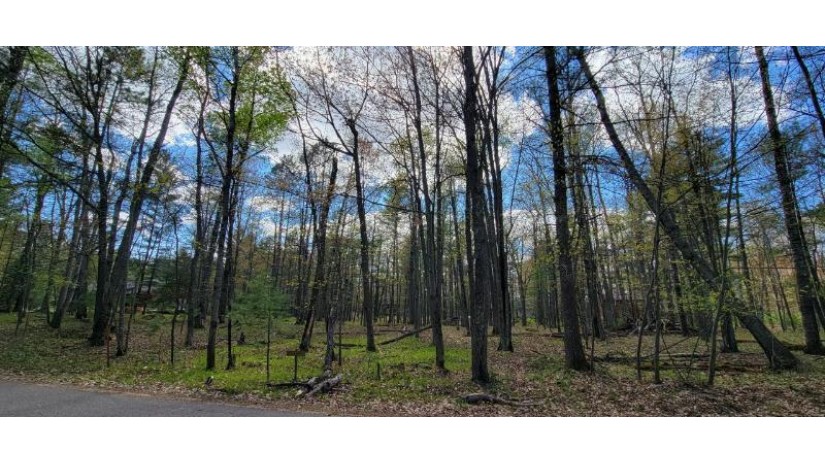 On Trailwood Dr 97 & 98 Minocqua, WI 54548 by Shorewest Realtors $36,000