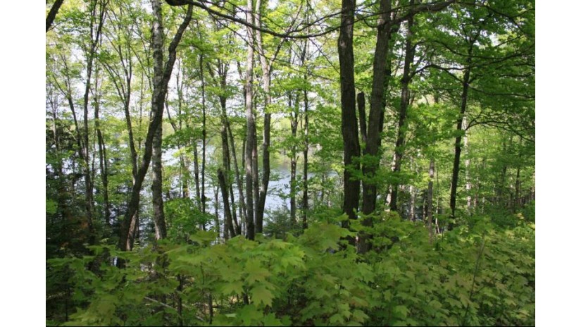 Tbd Sucker Lake Rd 6b Watersmeet, MI 49969 by First Weber - Minocqua $82,950