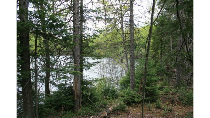 Tbd Sucker Lake Rd 4 Watersmeet, MI 49969 by First Weber - Minocqua $114,950