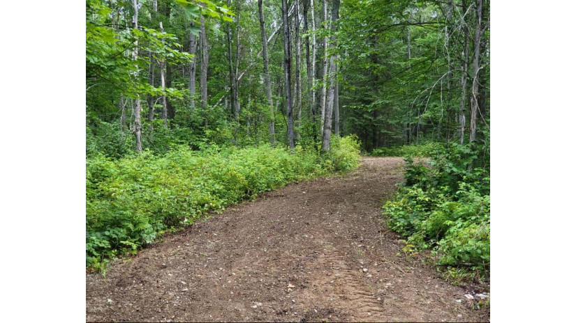 Tbd Dream Lake Rd Lot 3 Tipler, WI 54542 by Keller Williams Green Bay And Upper Peninsula $49,500