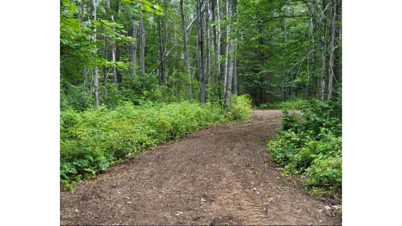 Tbd Dream Lake Rd Lot7 Tipler, WI 54542 by Keller Williams Green Bay And Upper Peninsula $79,500