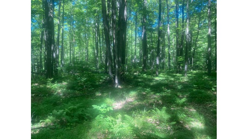 Lot 25 Shore Dr S Freedom, WI 54566 by Signature Realty, Inc. $75,000