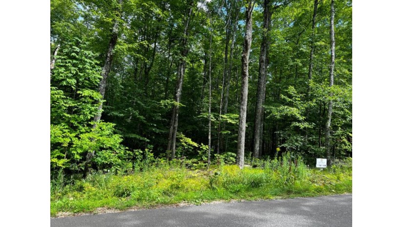 On South Shore Rd Lot #10 Phelps, WI 54554 by Century 21 Burkett & Assoc. $25,000