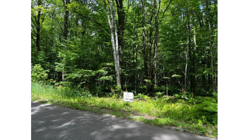 On South Shore Rd Lot #10 Phelps, WI 54554 by Century 21 Burkett & Assoc. $25,000