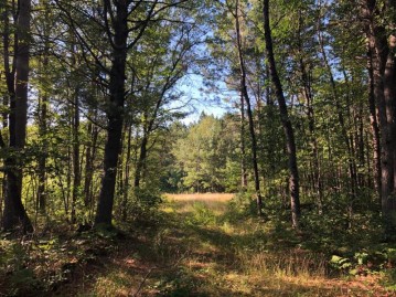 156 Ac. Manhardt Rd, Minocqua, WI 54548