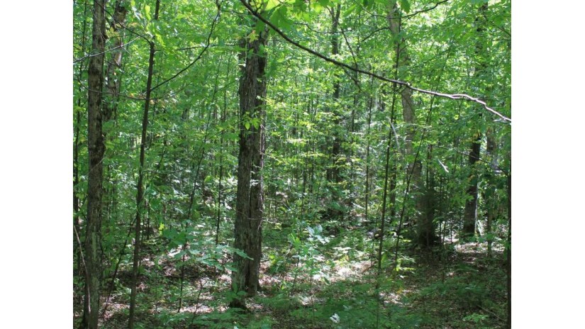 Lot 37 Alpine Dr Anderson, WI 54565 by Century 21 Pierce Realty - Mercer $21,000