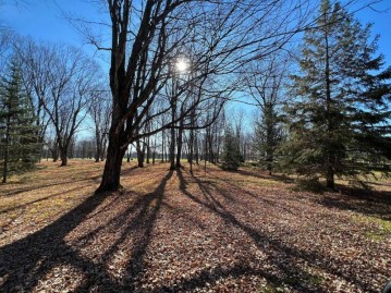 Lot 10 River Trace Dr, Ackley, WI 54409