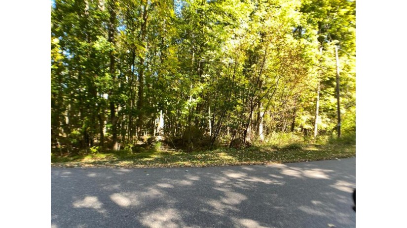 5.2 Acre Badger Ranch Dr Wolf River, WI 54491 by Exit Elite Realty $45,000