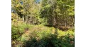 5.2 Acre Badger Ranch Dr Wolf River, WI 54491 by Exit Elite Realty $45,000