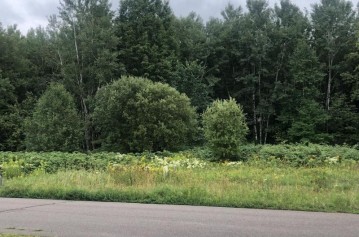 On Green Tree Dr Lot 23, Prentice, WI 54556