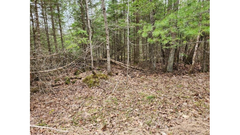 Lot #4 Pritchard Ln Riverview, WI 54114 by Shorewest Realtors $29,000