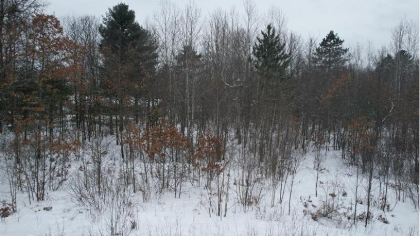 1608 Pine View Ln Tomahawk, WI 54487 by Wild Rivers Group Real Estate, Llc $19,000