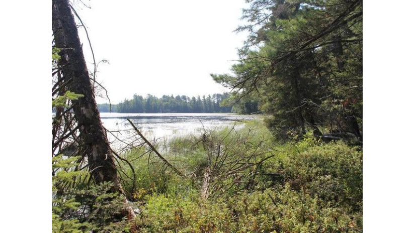 On Birch Lake Rd Lot 3 Watersmeet, MI 49969 by Century 21 Burkett - Lol $85,000