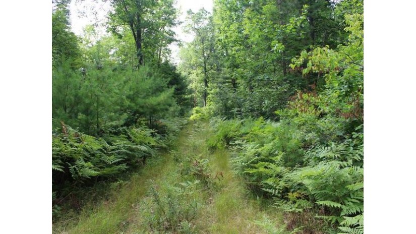 On Birch Lake Rd Lot 3 Watersmeet, MI 49969 by Century 21 Burkett - Lol $85,000