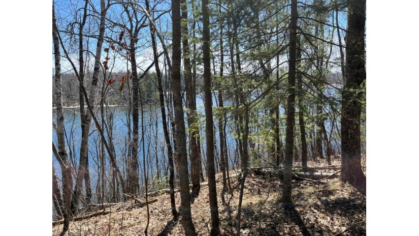 On Winslow Lake Ln Mountain, WI 54149 by Coldwell Banker Bartels Real Estate, Inc. $138,500