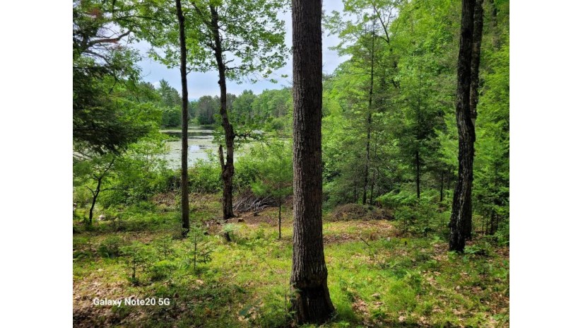 6504 Landing Lake Rd Land O Lakes, WI 54540 by Shorewest Realtors $498,500