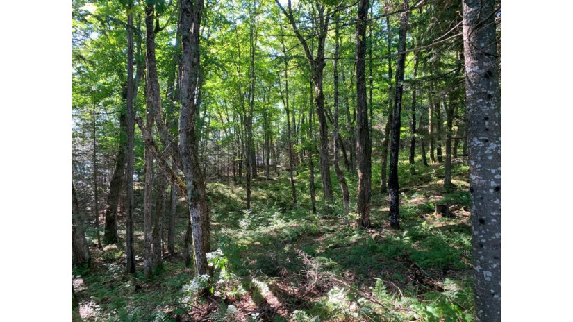 Off Knuth Ln Lot 4 Land O' Lakes, WI 54540 by Shorewest Realtors $165,000