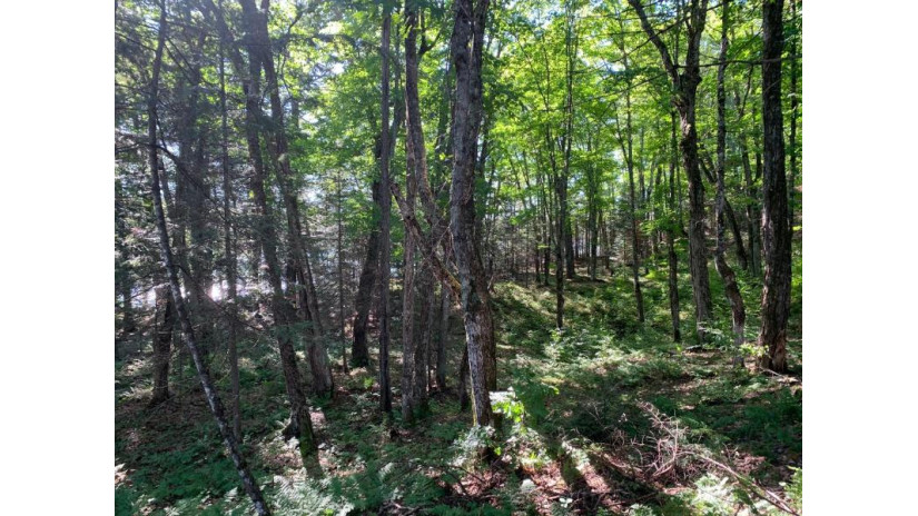 Off Knuth Ln Lot 4 Land O' Lakes, WI 54540 by Shorewest Realtors $165,000