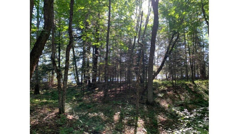 Off Knuth Ln Lot 4 Land O' Lakes, WI 54540 by Shorewest Realtors $165,000