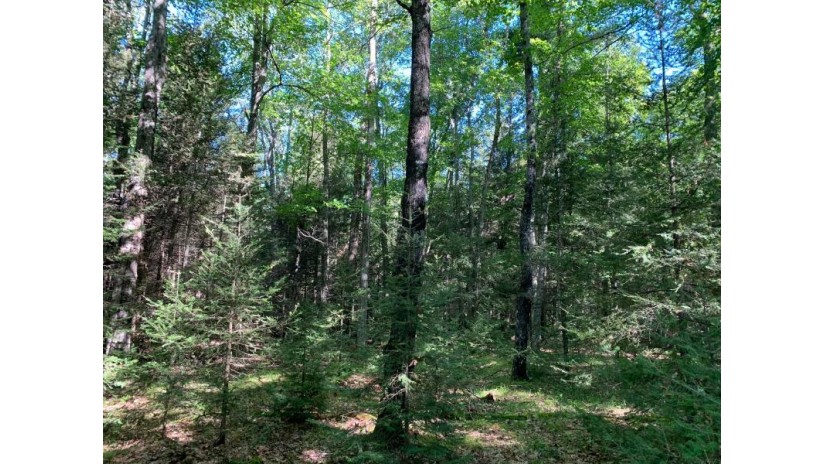 Off Knuth Ln Lot 5 & 6 Land O' Lakes, WI 54540 by Shorewest Realtors $325,000