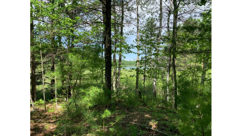 Lot 1 Somo Ridge Dr Tomahawk, WI 54487 by Lakeplace.com - Vacationland Properties $43,400